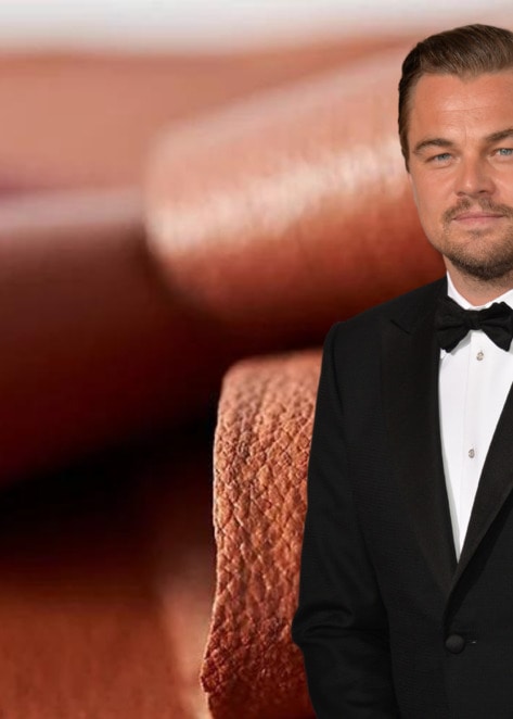 Leonardo DiCaprio Invests in Startup That Is Growing Leather From Cells&nbsp;