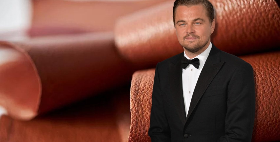Leonardo DiCaprio Invests in Startup That Is Growing Leather From Cells&nbsp;
