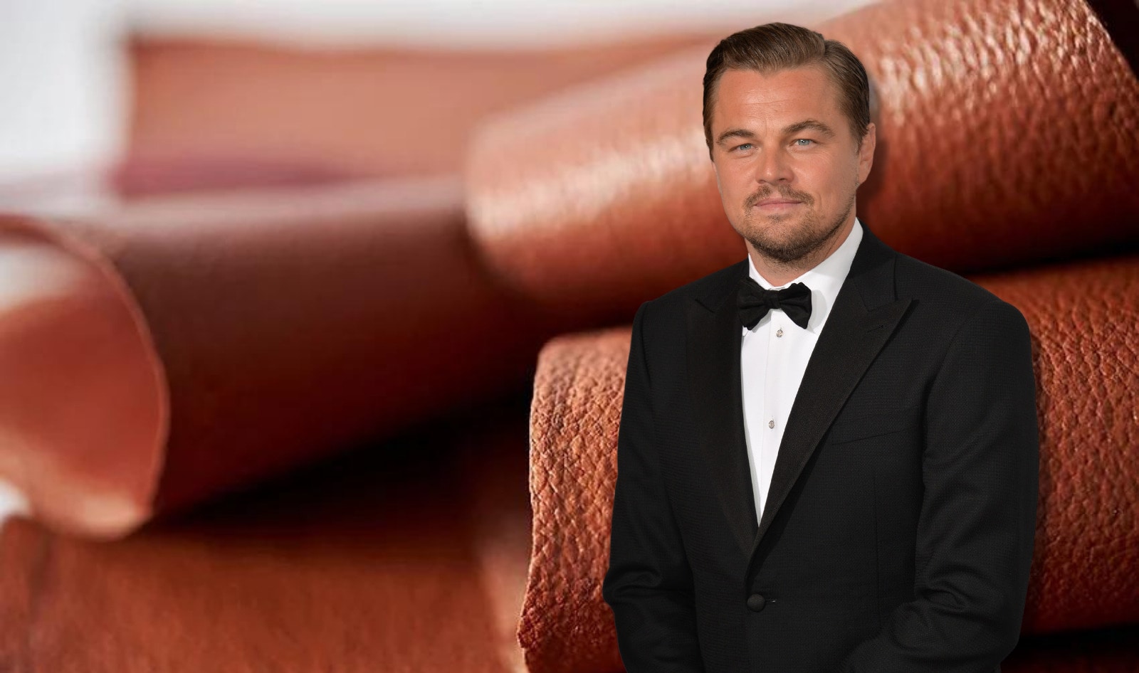 Leonardo DiCaprio Invests in Startup That Is Growing Leather From Cells 
