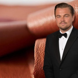 Leonardo DiCaprio Invests in Startup That Is Growing Leather From Cells&nbsp;