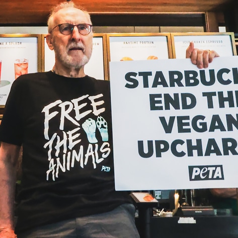 If Starbucks Drops Its Vegan Surcharge, Thank James Cromwell