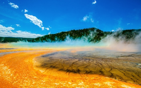 Microbes from Yellowstone Helped Make This Vegan Meat. Now, 7 Park Lodges Serve It for Breakfast.
