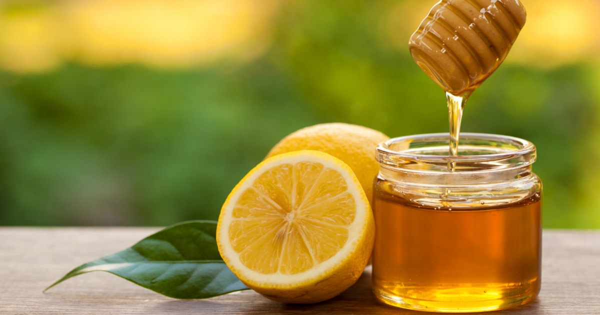 Is Honey Vegan? Everything You Need to Know About Why Bees Make Honey