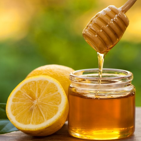 Is Honey Vegan? Everything You Need to Know About Why Bees Make Honey