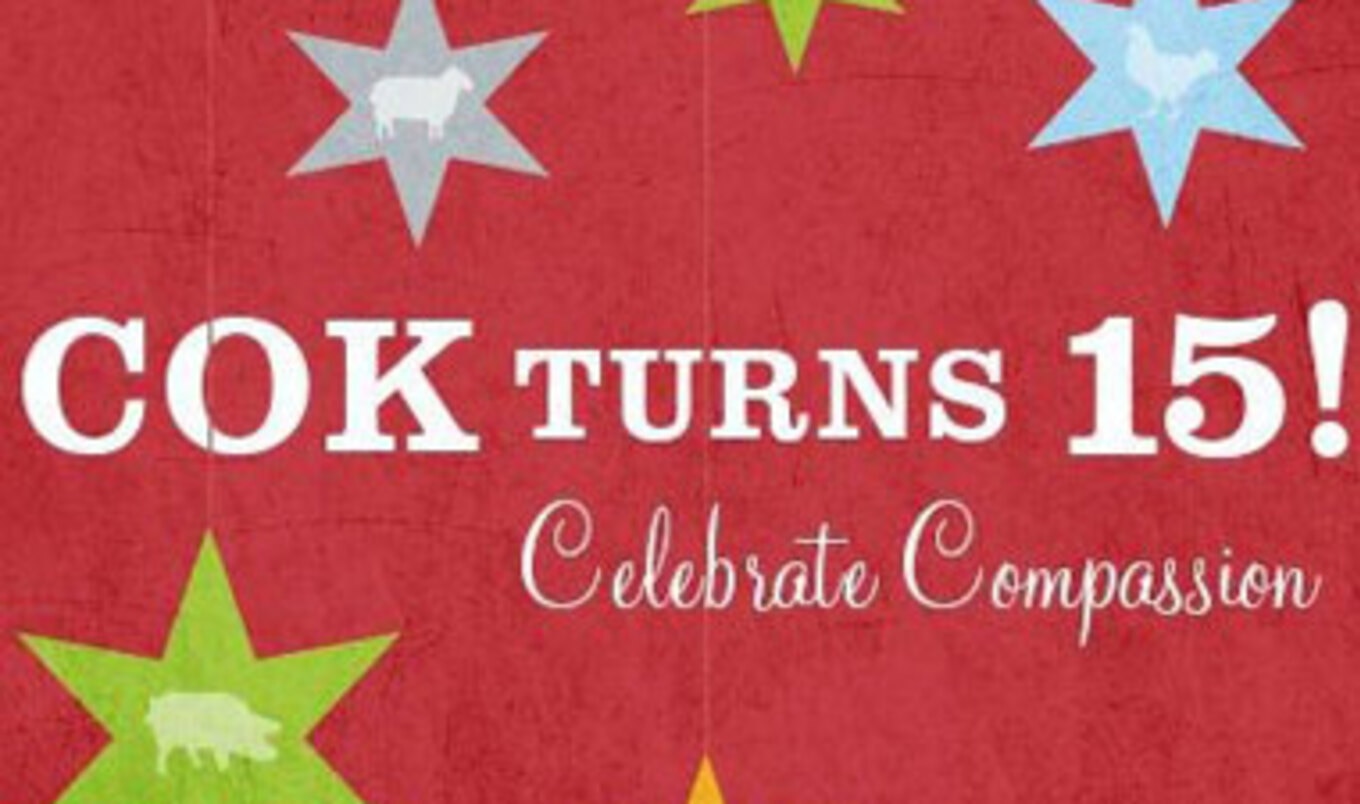 Fifteen Years of COK