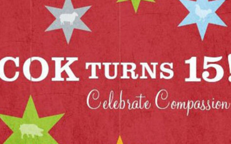 Fifteen Years of COK