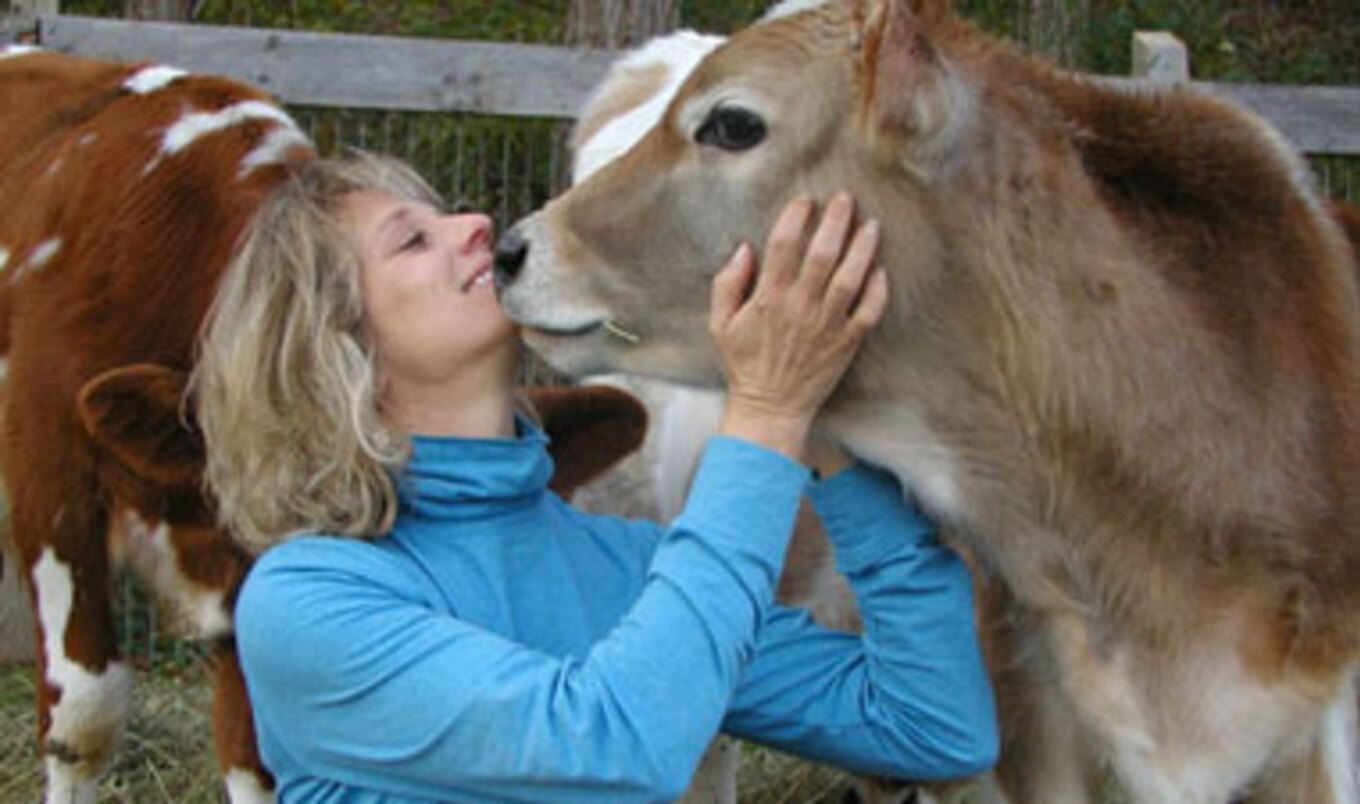 Kathy Stevens in the Huff Post