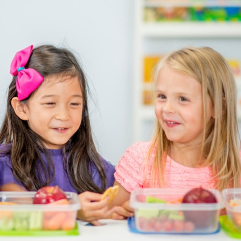 Illinois Adopts Plant-Based School Lunch Program for Nearly 2 Million Children