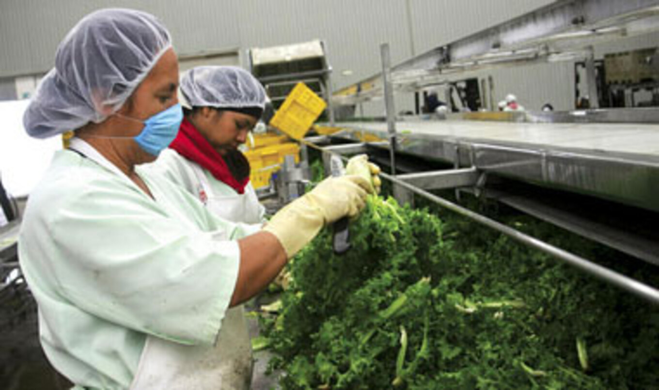 Food Safety Concern Drops