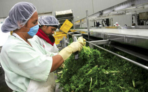 Food Safety Concern Drops
