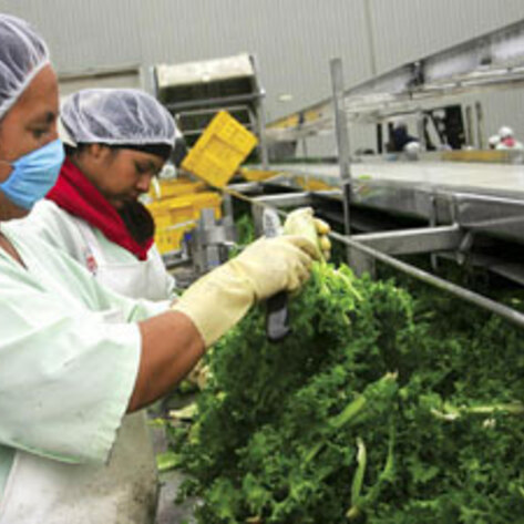 Obama Signs Food Safety Bill