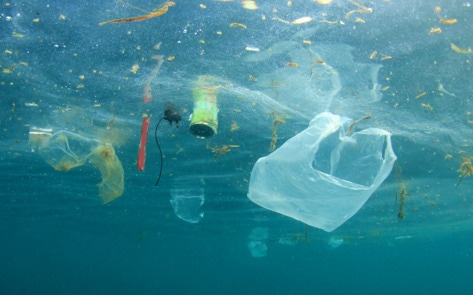 20 Vegan Brands Join Coalition to Keep the Equivalent of 27 Million Plastic Bags Out of Landfills