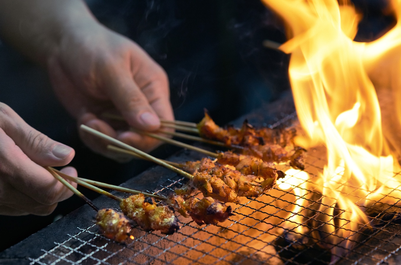 VegNews.ChickenSatay.GoodMeat