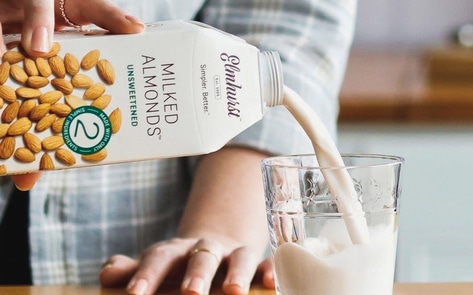 The Ultimate Guide to Choosing the Best Vegan Milk For You 