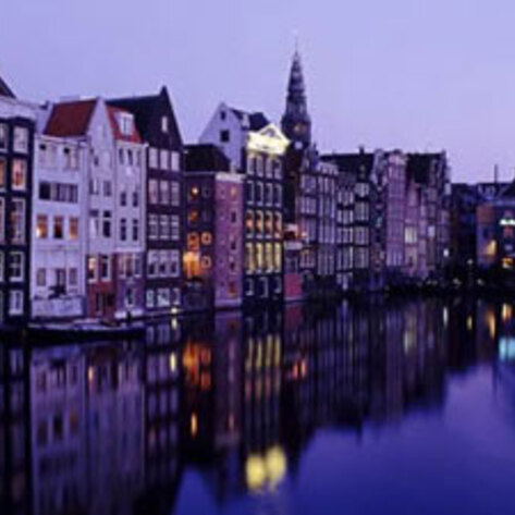 New Dutch Law Demands Phase Out of Mink Farms