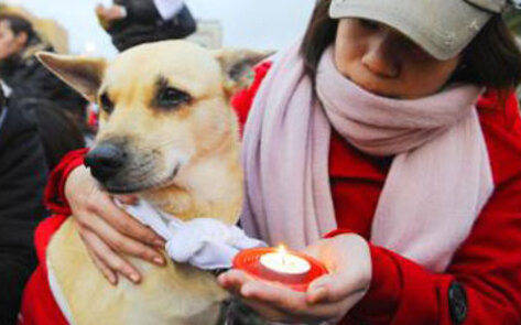 Taiwan Dog Eating Protest