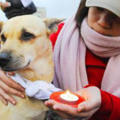 Taiwan Dog Eating Protest