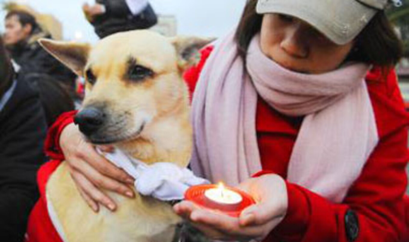 Taiwan Dog Eating Protest