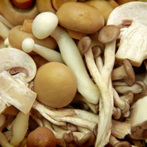 Instant Mushroom Powder