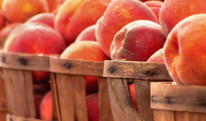 VND.PeachesBasket