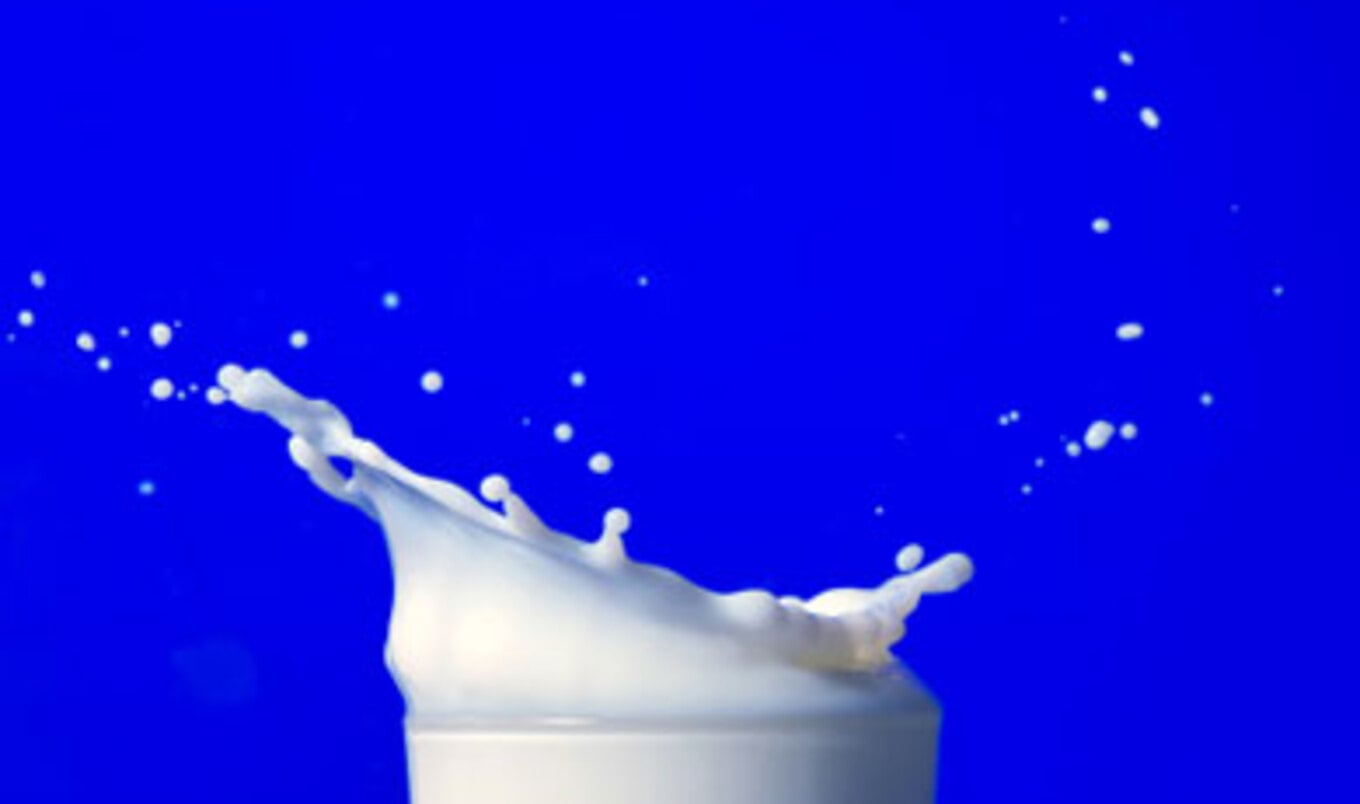 Dairy Industry Launches Anti-Vegan-Milk Campaign