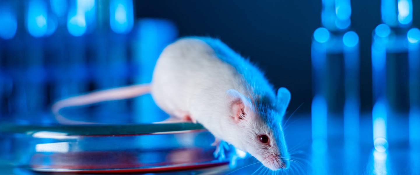 13 Bipartisan Lawmakers Demand FDA Set Guidelines for Animal-Free Drug Testing Methods 