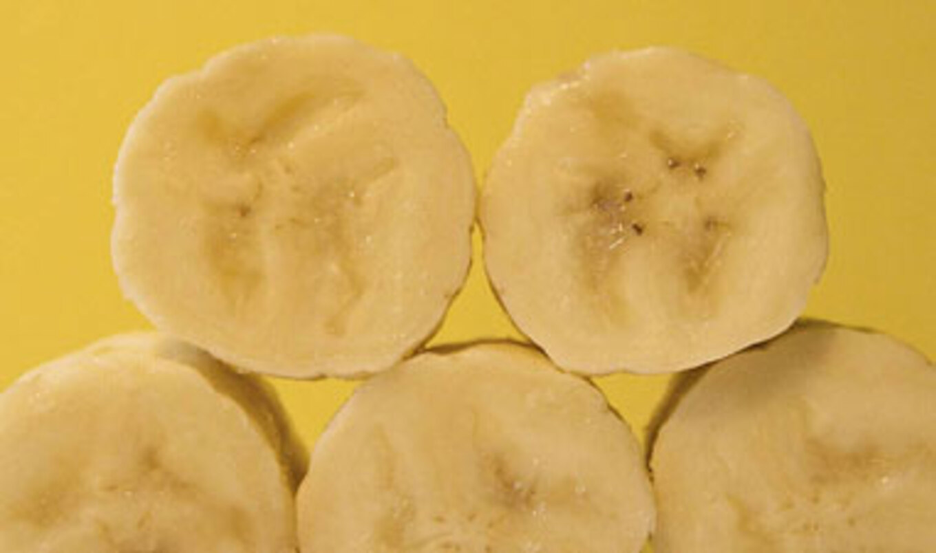 Banana Preservative Spray Made from Shellfish