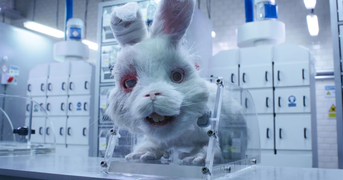 Taika Waititi's 'Save Ralph' Nabs Major Award in Cannes. Is the End Near for Cosmetic Animal Testing? | VegNews Taika Waititi's 'Save Ralph' Nabs Major Award in Cannes. Is the End Near for Cosmetic Animal Testing? | VegNews