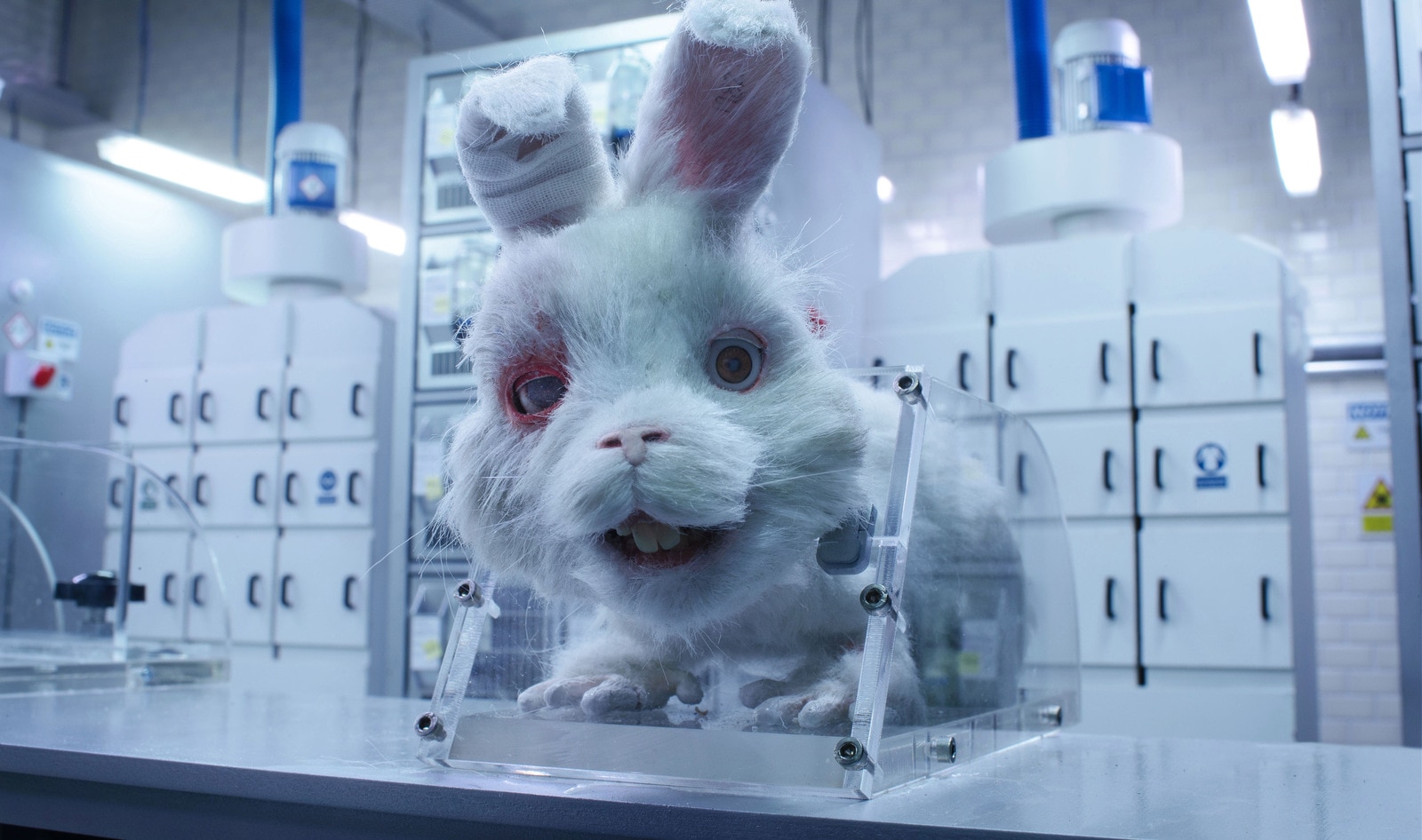 Taika Waititi's 'Save Ralph' Nabs Major Award in Cannes. Is the End Near  for Cosmetic Animal Testing? | VegNews