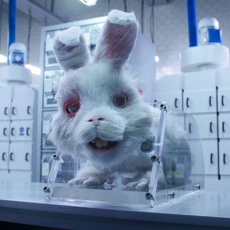 Taika Waititi’s 'Save Ralph' Nabs Major Award in Cannes. Is the End Near for Cosmetic Animal Testing?