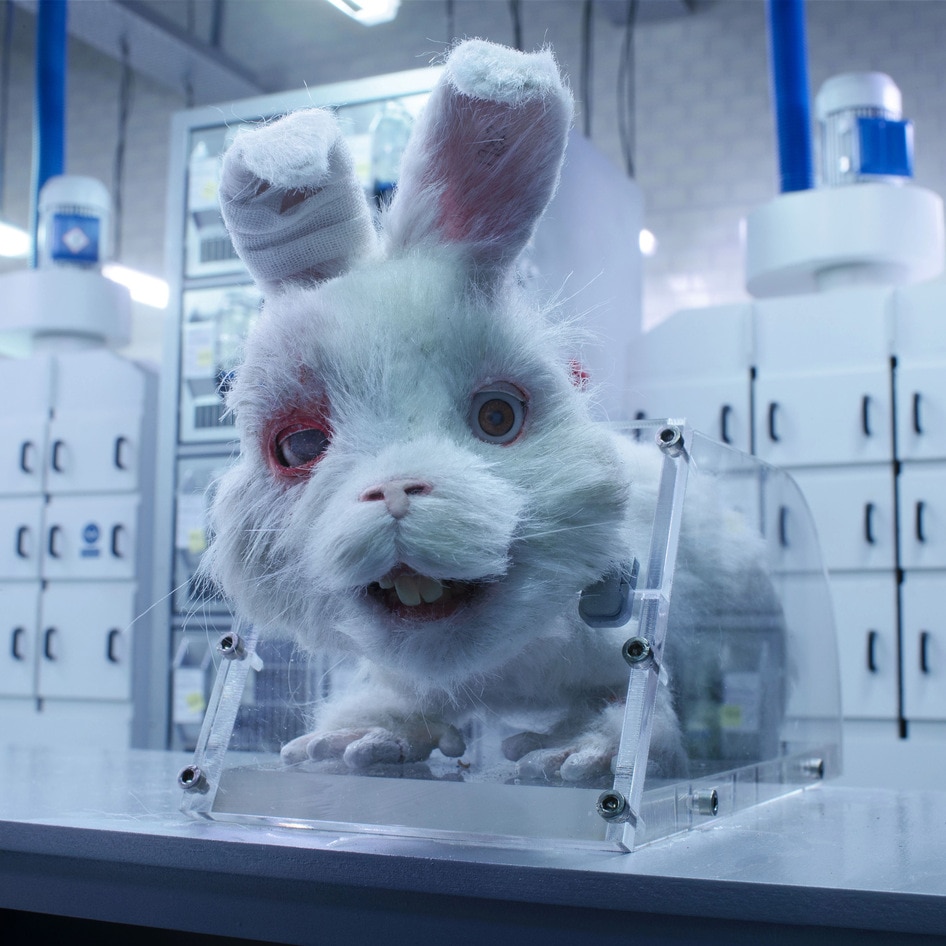 Taika Waititi’s 'Save Ralph' Nabs Major Award in Cannes. Is the End Near for Cosmetic Animal Testing?