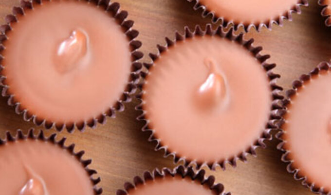 TWMH.pgcups.lg