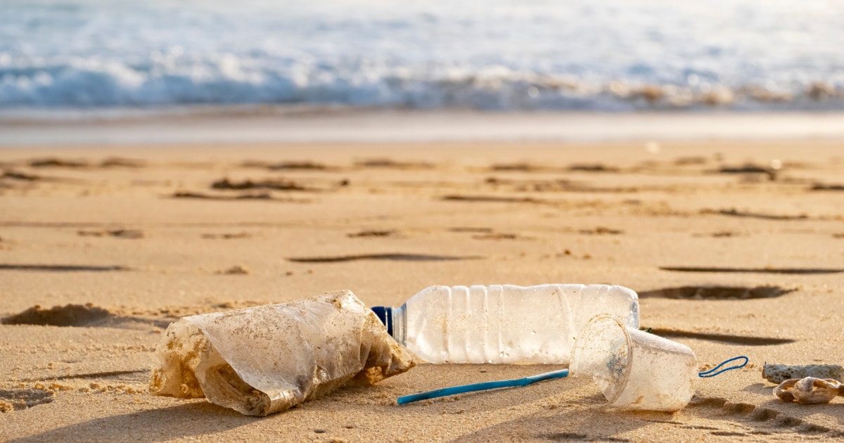 9 Ways to Cut Plastic From Your Life and Help Animals - Vimarsana News