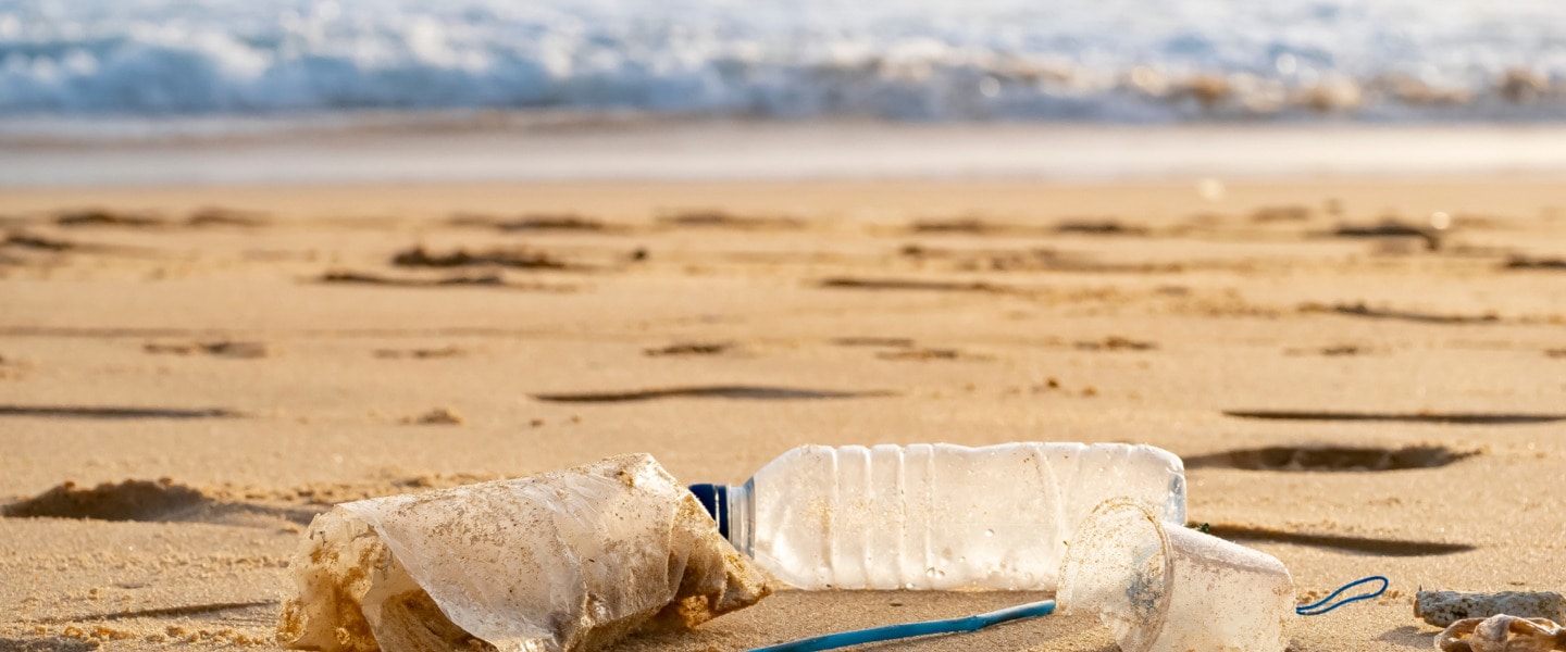 9 Ways to Cut Plastic From Your Life and Help Animals