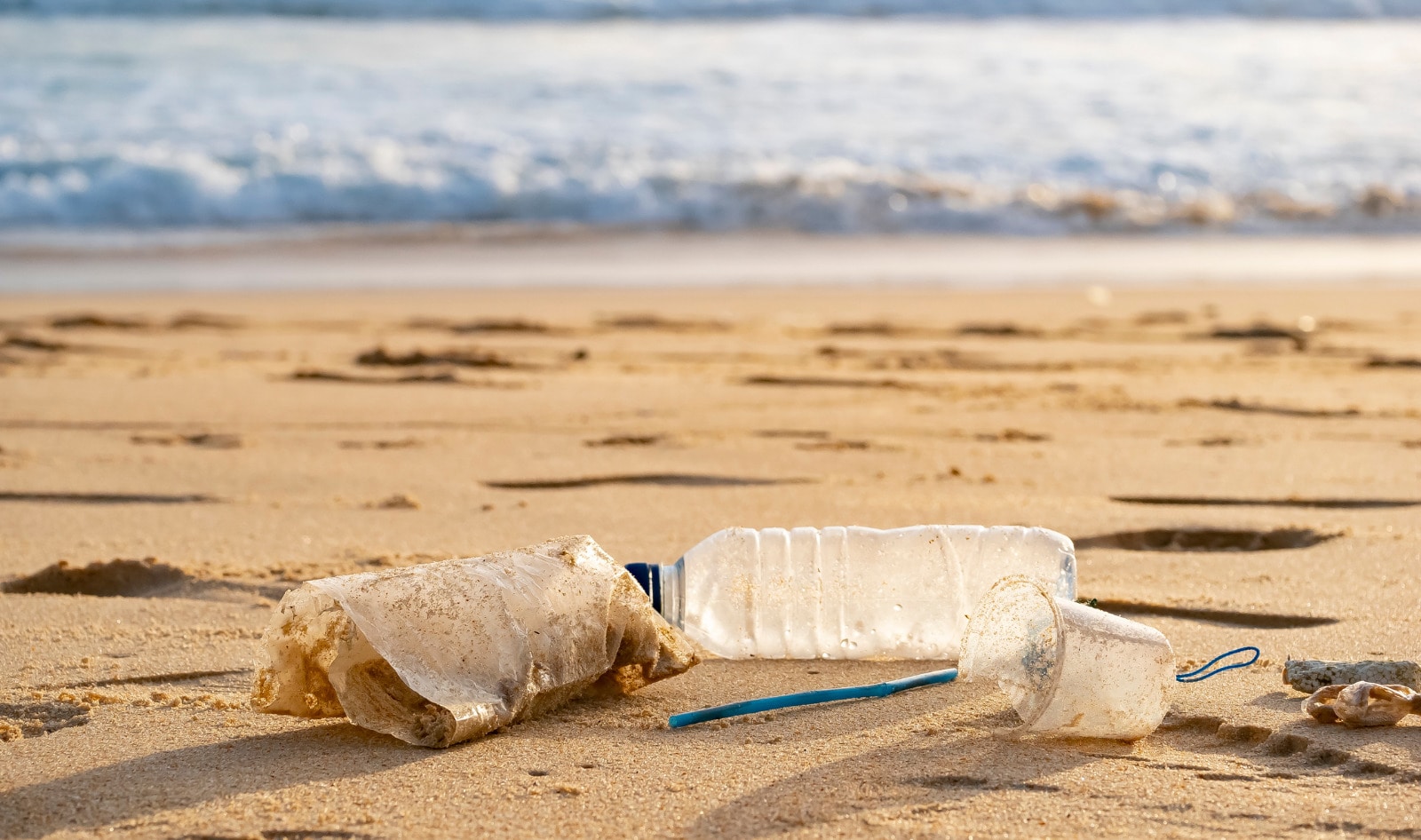 9 Ways to Cut Plastic From Your Life and Help Animals