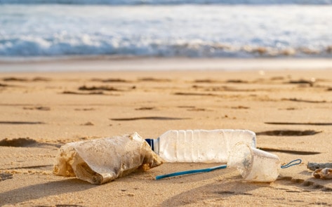 9 Ways to Cut Plastic From Your Life and Help Animals