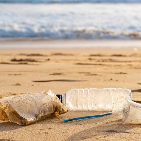 9 Ways to Cut Plastic From Your Life and Help Animals