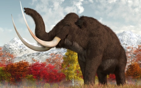 This Precision Fermentation Startup Made Vegan Woolly Mammoth Meat. And It’s Just the Beginning. 