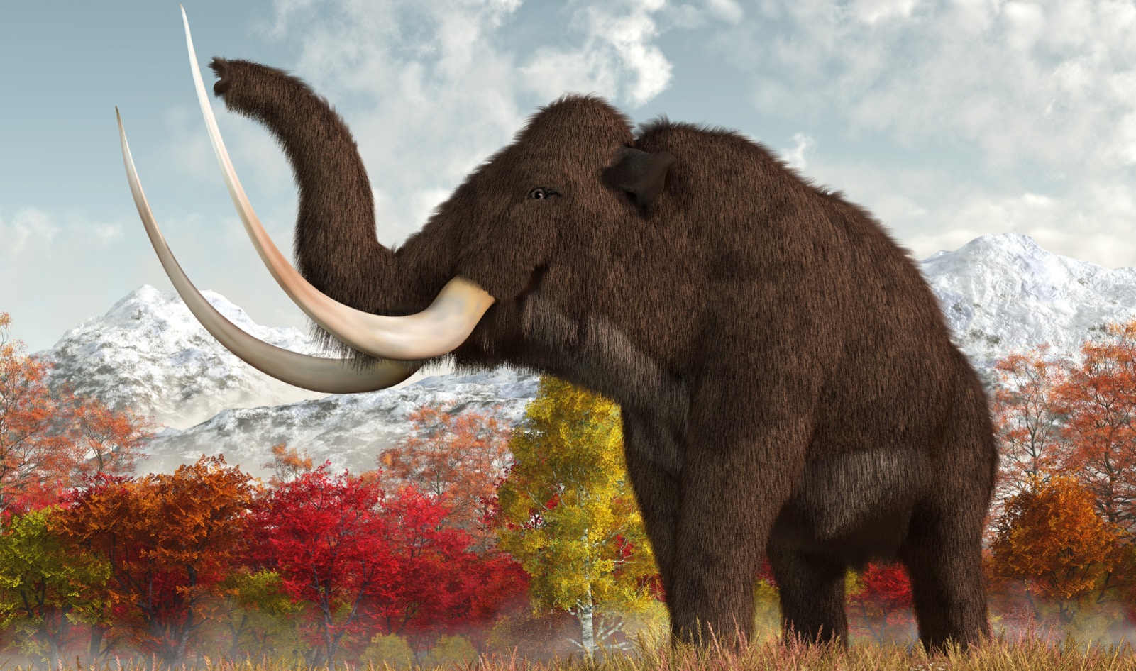 This Precision Fermentation Startup Made Vegan Woolly Mammoth Meat. And It’s Just the Beginning.&nbsp;