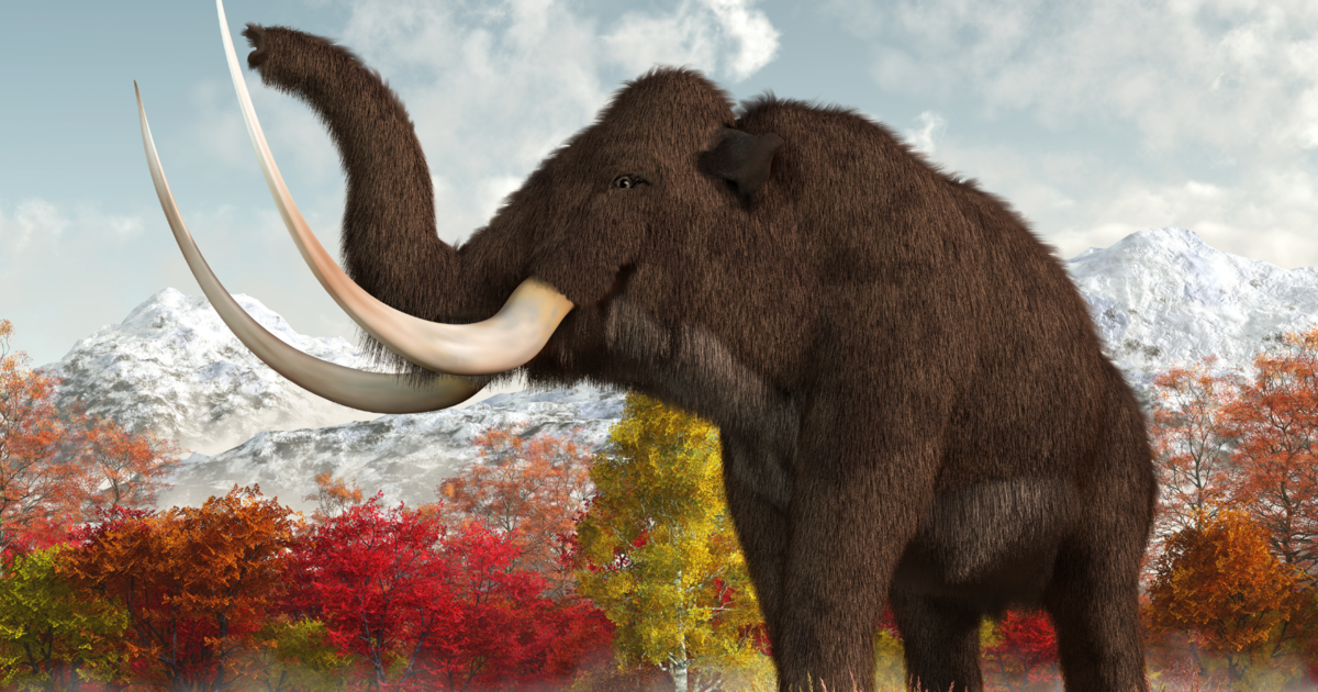 This Precision Fermentation Startup Made Vegan Woolly Mammoth Meat. And It's Just the Beginning. - Vimarsana News