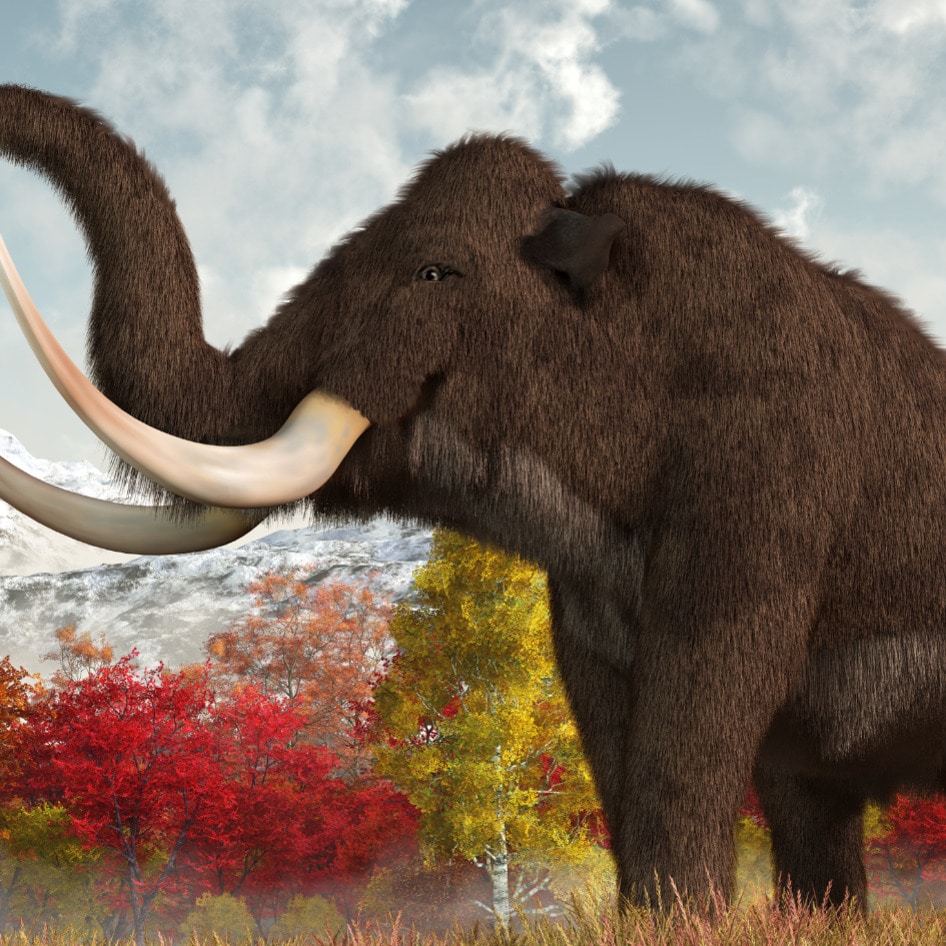 This Precision Fermentation Startup Made Vegan Woolly Mammoth Meat. And It’s Just the Beginning.&nbsp;