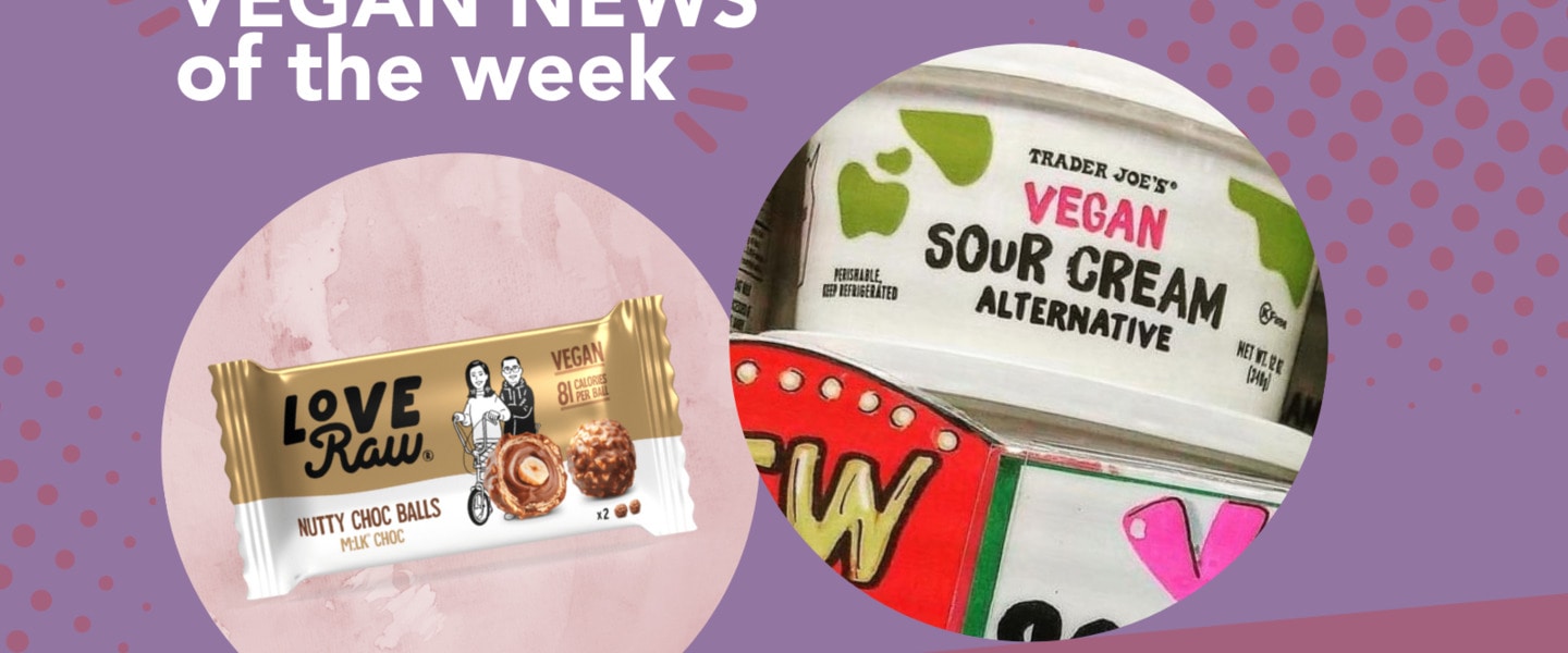 Ferrero Rocher Copycat, TJ's Sour Cream, and More Vegan Food News of the Week