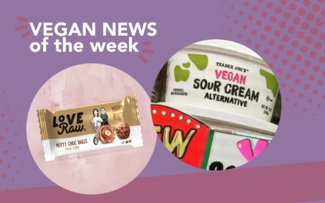 Ferrero Rocher Copycat, TJ's Sour Cream, and More Vegan Food News of the Week