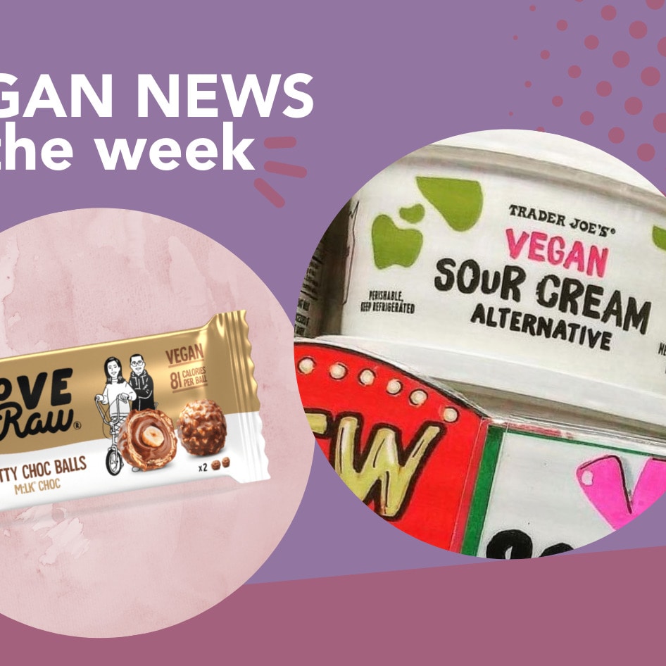 Ferrero Rocher Copycat, TJ's Sour Cream, and More Vegan Food News of the Week
