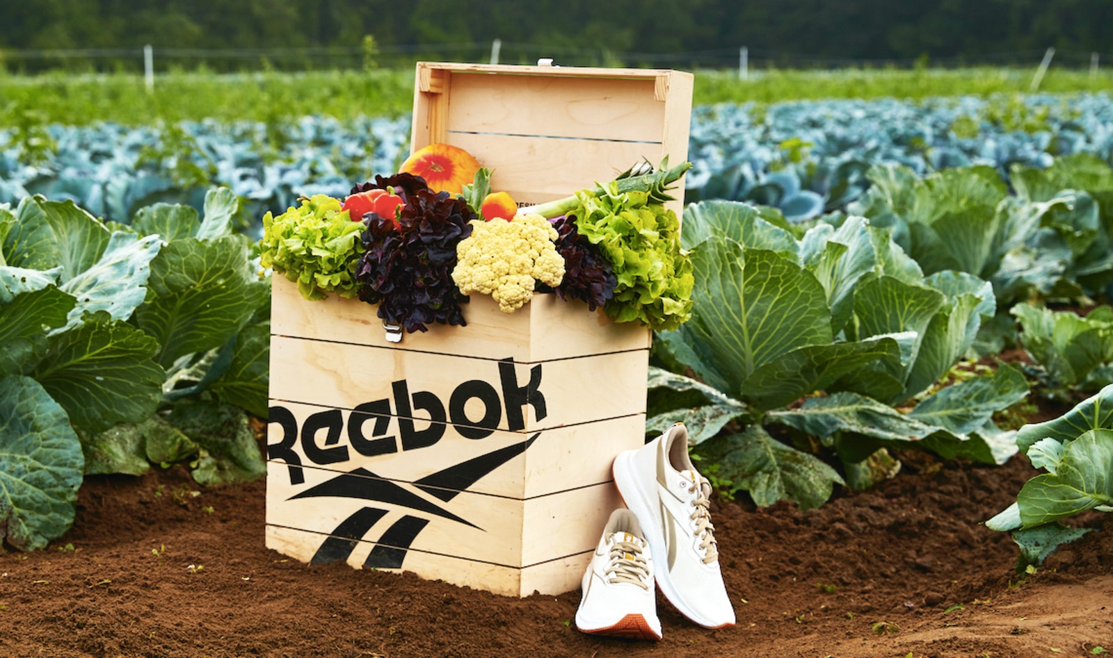 Reebok's New Vegan Sneakers Come with a Box of Produce