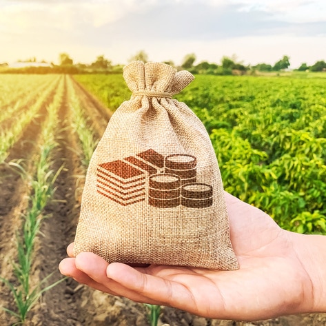 More Than $125,000 Is up for Grabs for Plant-Based Startups in Global Competition 