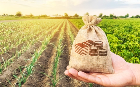 More Than $125,000 Is up for Grabs for Plant-Based Startups in Global Competition 