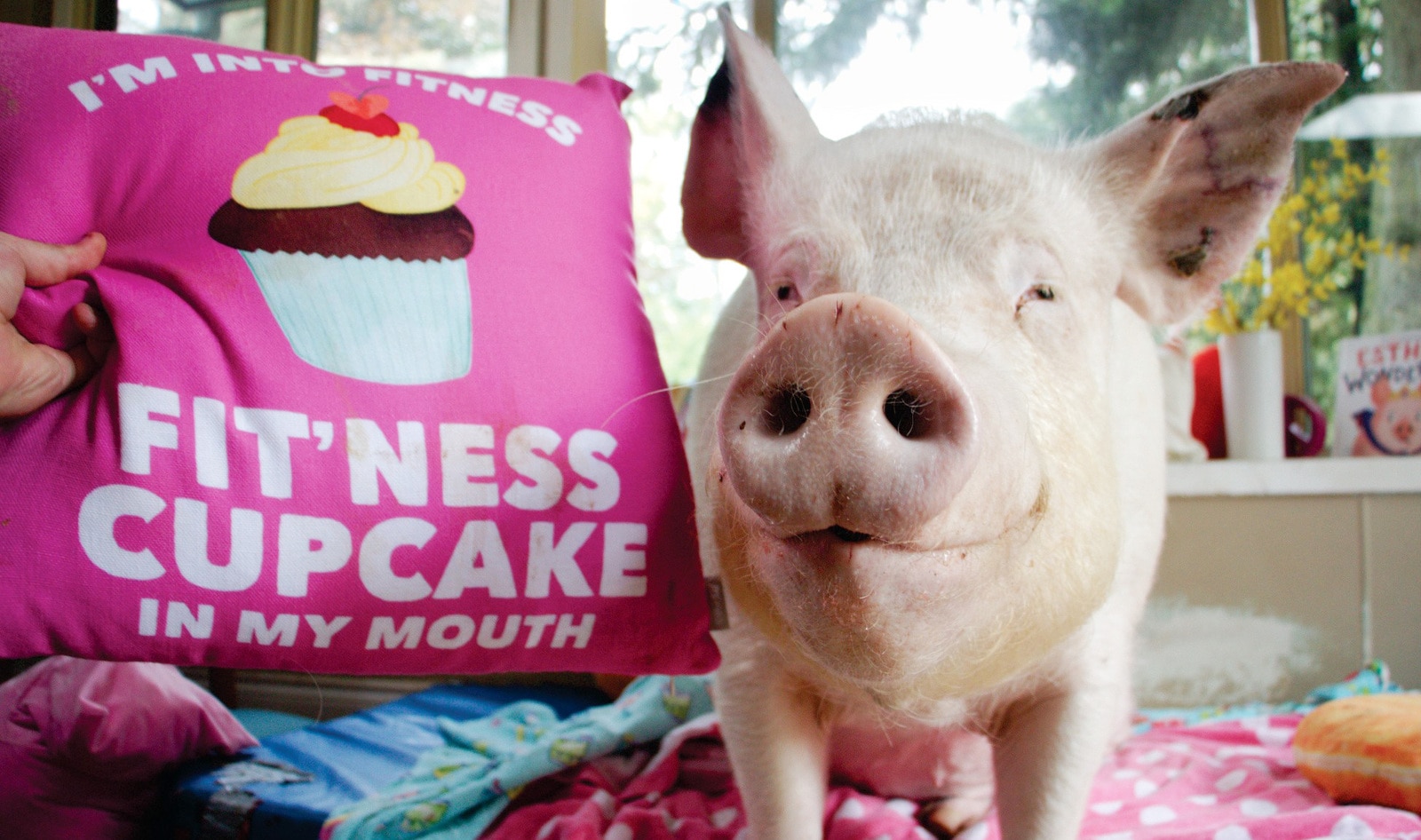 Country Crock and Esther the Wonder Pig Launch Vegan Cupcakes