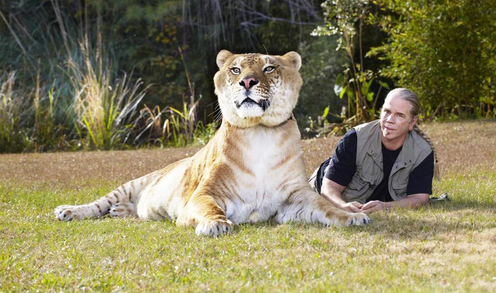 <i>Tiger King</i>’s Doc Antle Charged with Felony Wildlife Trafficking and Animal Cruelty