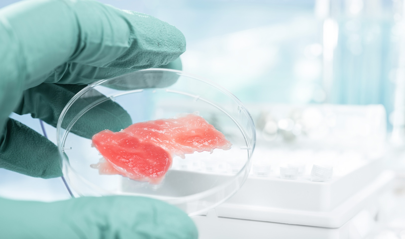 US Government Grants $3.5 Million to California University to Research Lab-Grown Meat